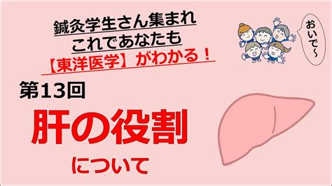 鍼灸学生さん集まれ これであなたも東洋医学がわかる 第13回 肝の役割について YouTube