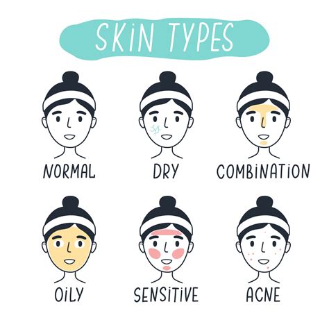 Basic Skin Types Normal Dry Combination Oily Sensitive And Acne