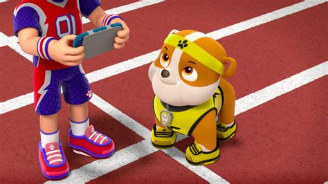 Image Paw Patrol Pups Save Sports Day Scene 8png Paw Patrol Wiki