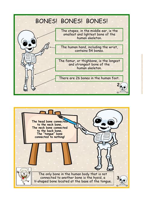 Interesting Facts About Your Skeleton Mini Book Made By Teachers