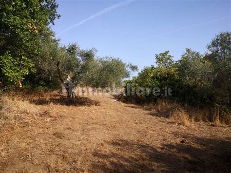 Terreno Agricolo Strada Comunale Monte Coino Gradoli Rif