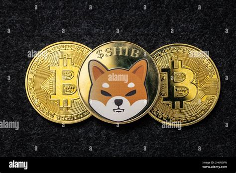 Shiba Inu Coin On Top Of Bitcoin Physical Coins Stock Photo Alamy