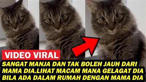 SANGAT MANJA DAN TAK BOLEH JAUH DARI MAMA DIA LIHAT MACAM MANA GELAGAT