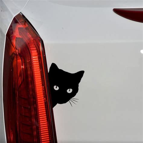 Funny Cat Car Decals Cat Mania