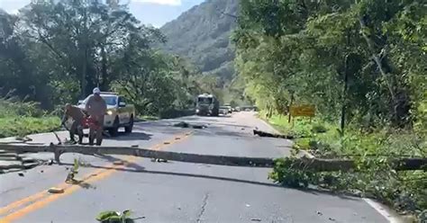 VÍDEO Ventania causa queda de árvores na Serra Dona Francisca