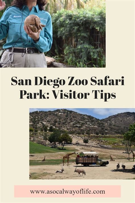 San Diego Zoo Safari Park Visitor Tips Artofit