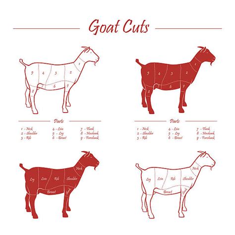 Goat Meat Cuts Chart