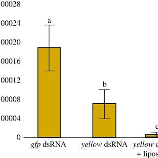 Transcript Levels Of A Dsrnase And B Dsrnase Genes Relative To