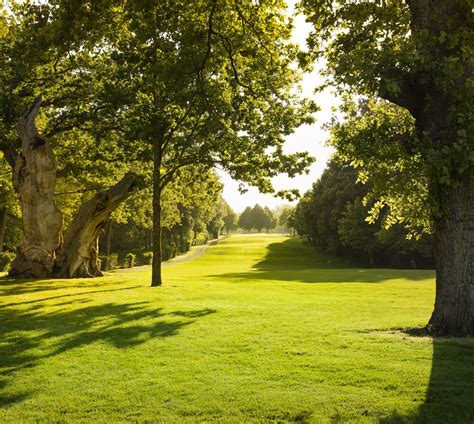 Green Fees Rochester And Cobham Park Golf Club