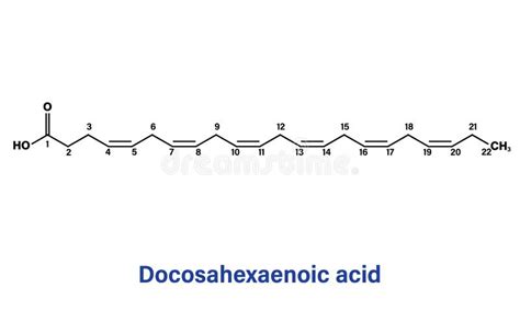 Docosahexaenoic Acid Molecular Structure Vector Illustration Stock