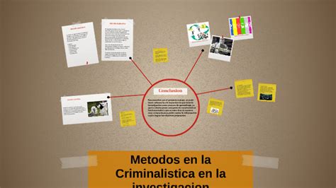 Metodos En La Criminalistica En La Investigacion By Saray Viidaal On Prezi