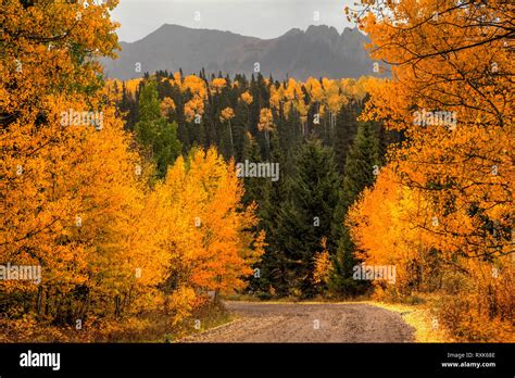 Fall Color Last Dollar Road Hi Res Stock Photography And Images Alamy