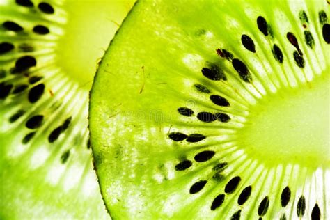 Green Kiwi Fruit Stock Photo Image Of Background Vivid 30423406