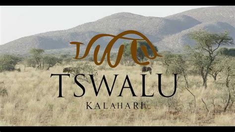 Tswalu Wild Dogs Youtube