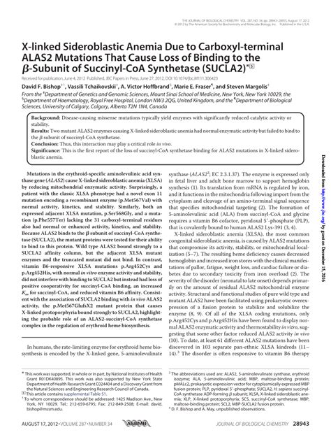 Pdf X Linked Sideroblastic Anemia Due To Carboxyl Terminal Alas2 Mutations That Cause Loss Of