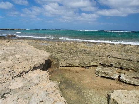 Turtle Bay Beach Kahuku All You Need To Know Before You Go