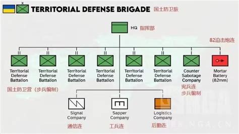 烏軍壯丁旅詳情公開：6個營壯丁加1個連督戰隊，沒有坦克全靠拼命 每日頭條