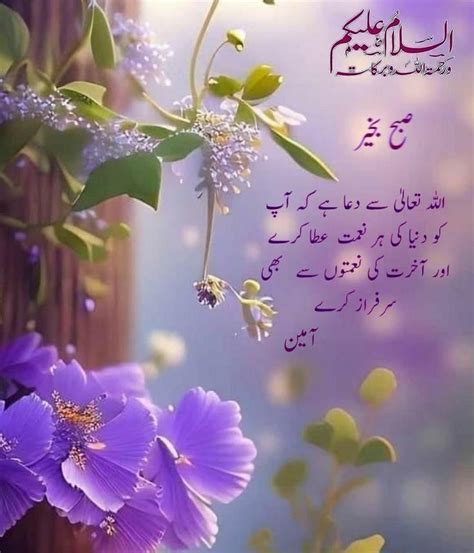 Pin By Shabbir Ahmad On Urdu Morning Good Morning Flowers Quotes