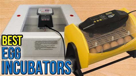 Best Egg Incubators Youtube