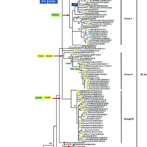 Phylogenetic Analysis Of The Nucleotide Sequences Of The Ha Coding Download Scientific Diagram