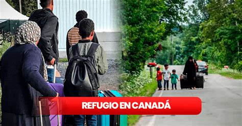 Pedir Refugio En Canad C Mo Ingresar Como Asilado A Canad