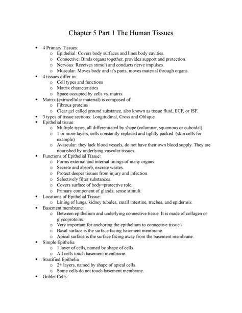Chapter 5 Part 1 The Human Tissues - Chapter 5 Part 1 The Human Tissues