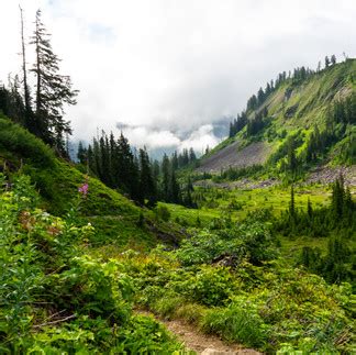 The ultimate mount baker hiking guide