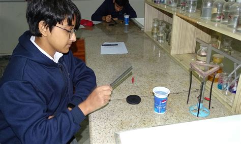 gallery  science school