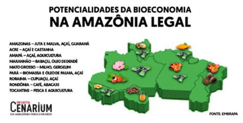 Especial Uma Economia Para O Amanh Bioeconomia Na Amaz Nia