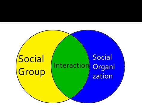 Social Groups