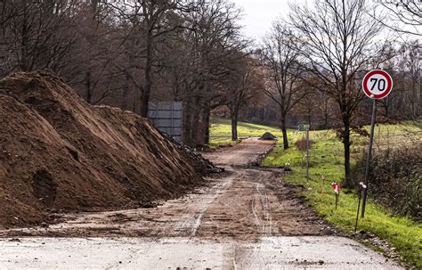 Saarland Umweltministerium beauftragt Gutachten zu beschädigter Allee