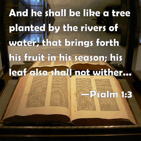 Psalm And He Shall Be Like A Tree Planted By The Rivers Of Water