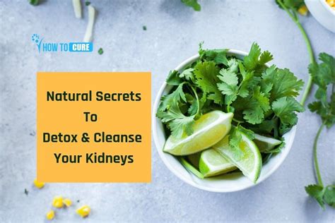 Kidney Detox And Cleanse Naturally At Home With Just One Ingredient