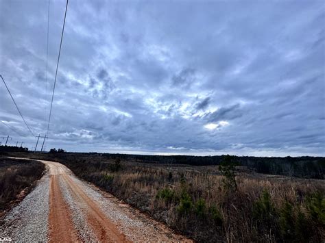 Dixon Mills Hunting Tract and Timber Investment in Marengo County