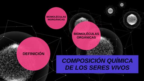 ComposiciÓn QuÍmica De Los Seres Vivos By Séfora Berrío Carbajal On Prezi