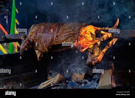 Lamb roasted whole on a spit over open fire in medieval setting Stock ...