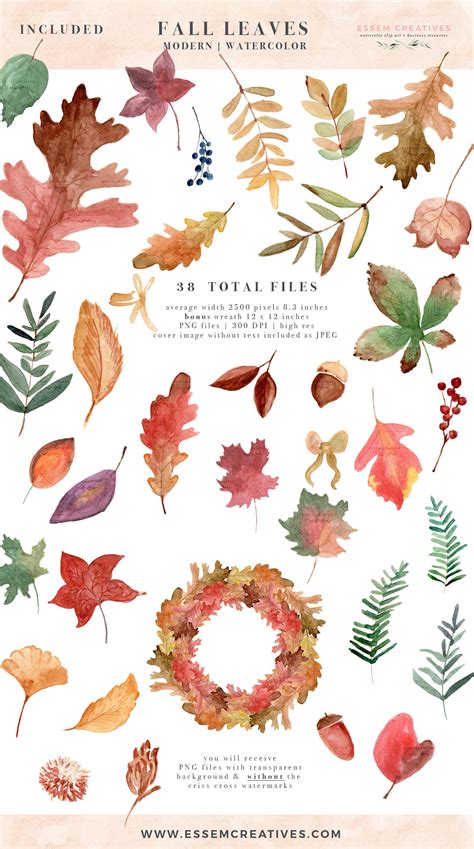 Watercolor Fall Leaves Clipart Autumn Leaves Clip Art - Etsy