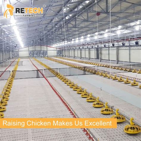 Good Price Automatic Broiler Floor Raising System China Chicken Cage And Poultry Farm Chicken Cage