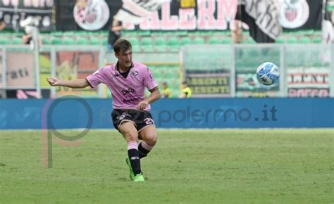 Palermo Cambia Il Centrocampo Damiani E Broh Verso La Titolarit