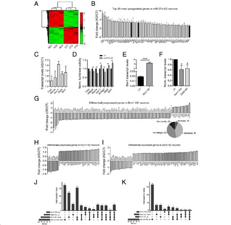 Sox11 Zfp90 And Bmi1 Are Mir 27b Targets Ab Genome Wide Download Scientific Diagram