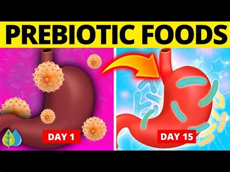 Best Prebiotic Foods These Prebiotic Foods Improve Gut Health