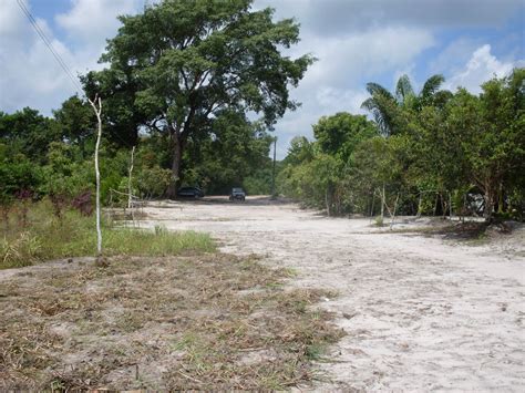 Grupo De Estudo Paisagem E Planejamento Ambiental Livro Mem Rias De