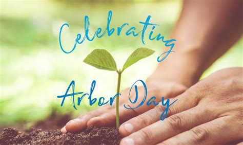 Happy Arbor Day Lets Celebrate Hillhouse Construction