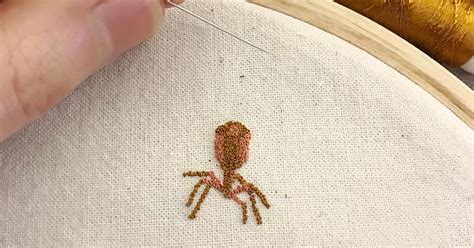 Bacteriophage Album On Imgur