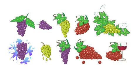 Grape Vector Art, Icons, and Graphics for Free Download