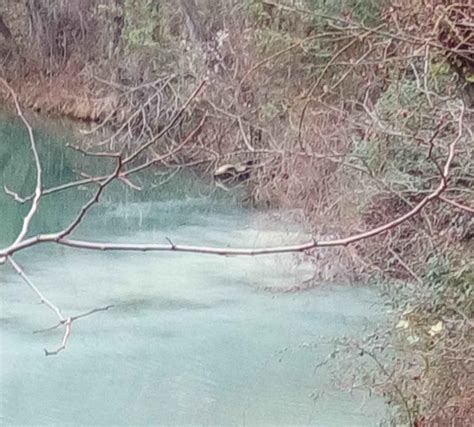 Denuncian Vertidos Contaminantes En Las Aguas De Un Municipio De La