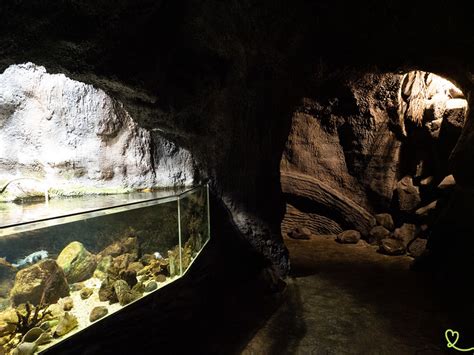 Porto Moniz Aquarium (Madeira): visit + photos