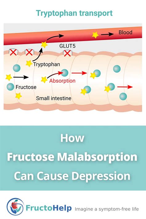 What Is Fructose Malabsorption Symptoms Causes And Treatments Artofit