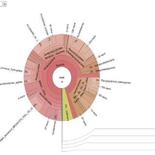 Krona Chart Showing The Taxonomic Hierarchy And Percentage Composition