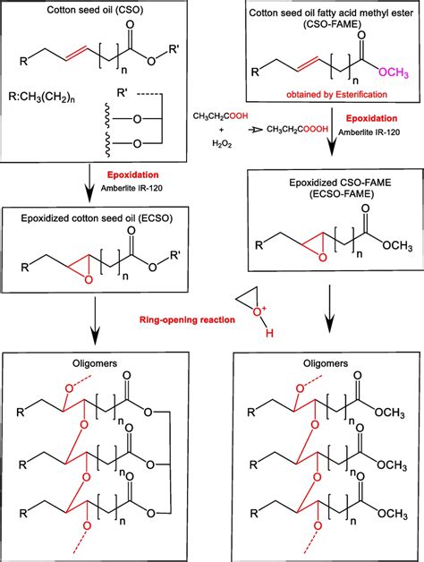 Reaction Stages Of Esterification And Epoxidation Download Scientific Diagram